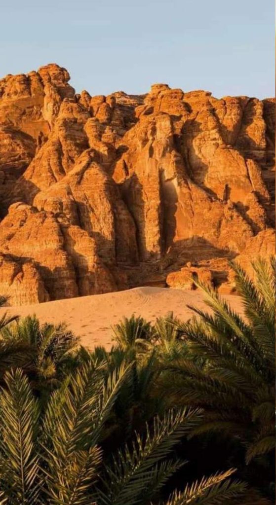تكوينات صخرية حمراء تحيط بها أشجار النخيل